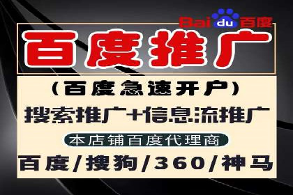 SEM公司案例分析：搜索引擎优化策略与执行